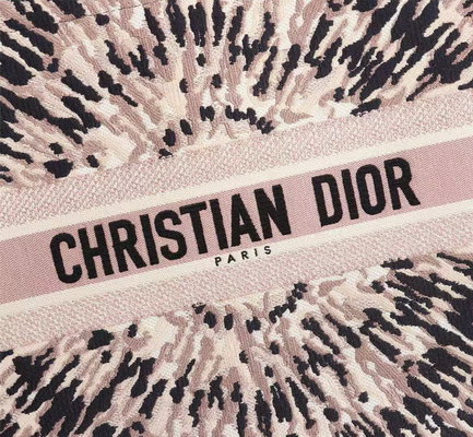Dior Handbags AAAA(Women)-067
