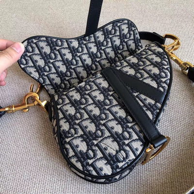 Dior Handbags AAAA(Women)-095
