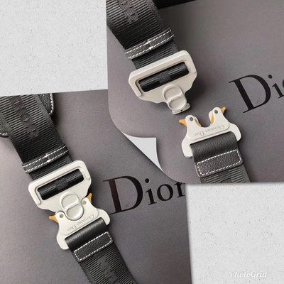 Dior Handbags AAAA(Men)-006