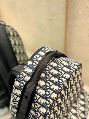 Dior Backpack(AAAA)-006