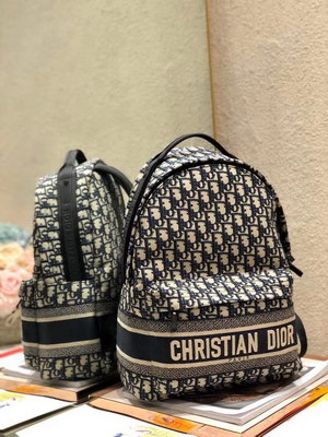 Dior Backpack(AAAA)-006