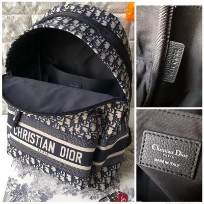 Dior Backpack(AAAA)-005
