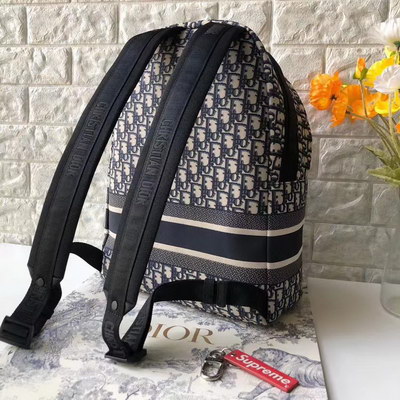 Dior Backpack(AAAA)-005