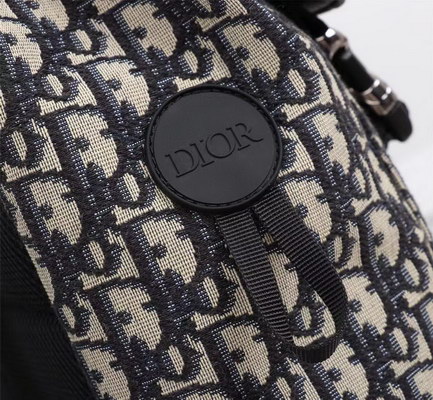 Dior Backpack(AAAA)-007