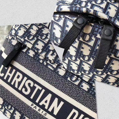 Dior Backpack(AAAA)-005
