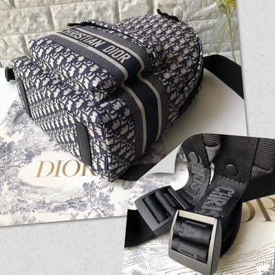 Dior Backpack(AAAA)-005