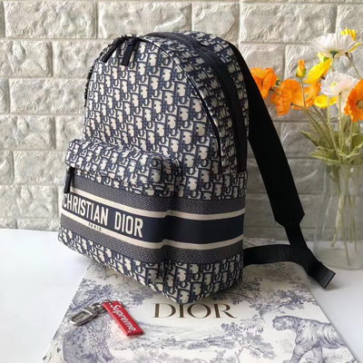 Dior Backpack(AAAA)-005