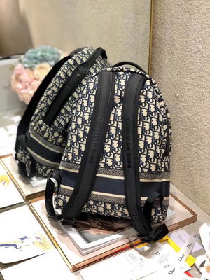 Dior Backpack(AAAA)-006