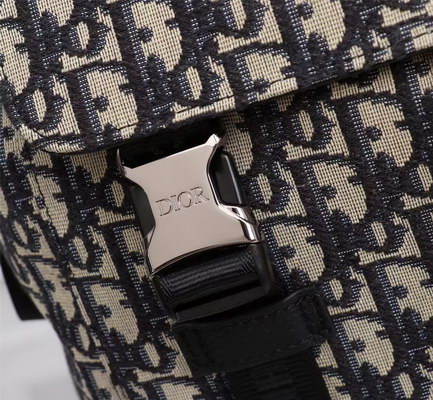 Dior Backpack(AAAA)-007