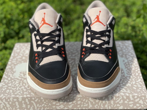 Air Jordan 3 “Desert Elephant”