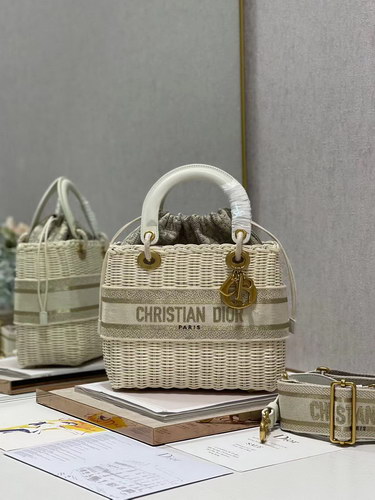 Dior Handbags AAAA(Women)-100