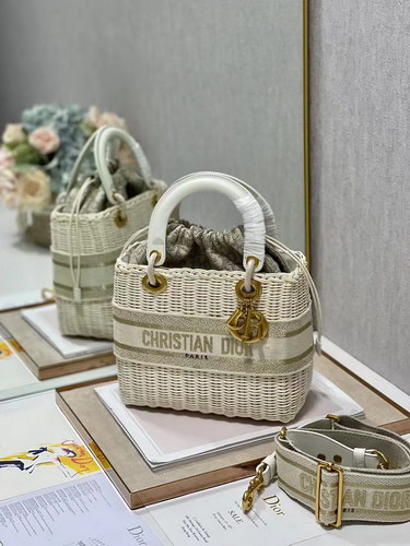 Dior Handbags AAAA(Women)-100