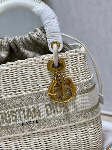 Dior Handbags AAAA(Women)-100