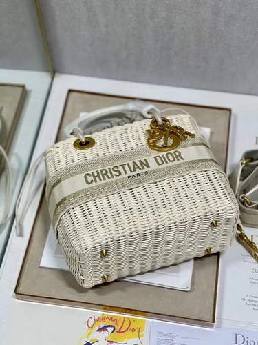 Dior Handbags AAAA(Women)-100
