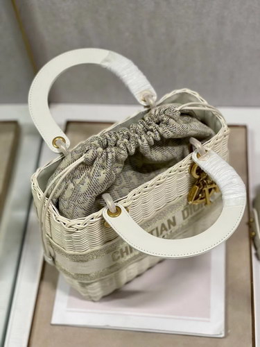 Dior Handbags AAAA(Women)-100