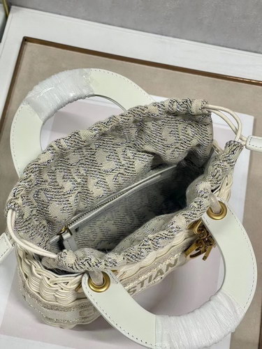 Dior Handbags AAAA(Women)-105