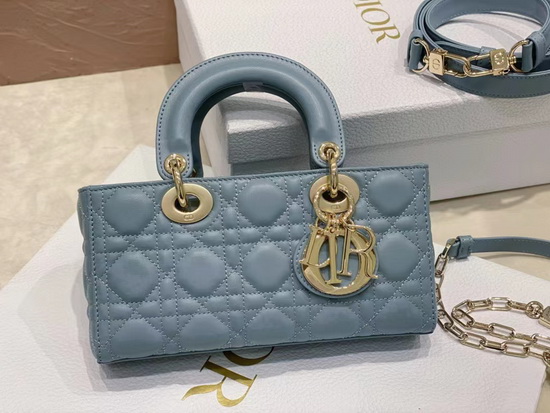 Dior Handbags AAAA(Women)-110