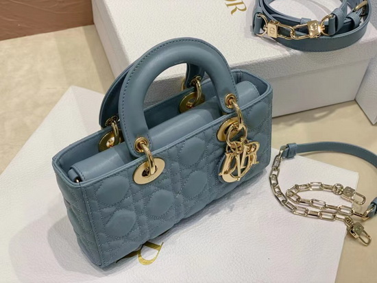 Dior Handbags AAAA(Women)-110