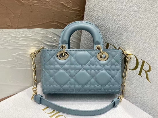 Dior Handbags AAAA(Women)-109