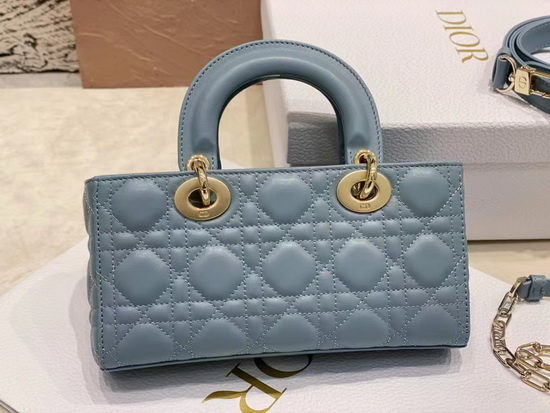 Dior Handbags AAAA(Women)-110