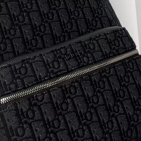 Dior Backpack(AAAA)-011
