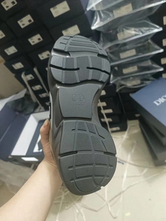 Dior Shoes(AAA)-488