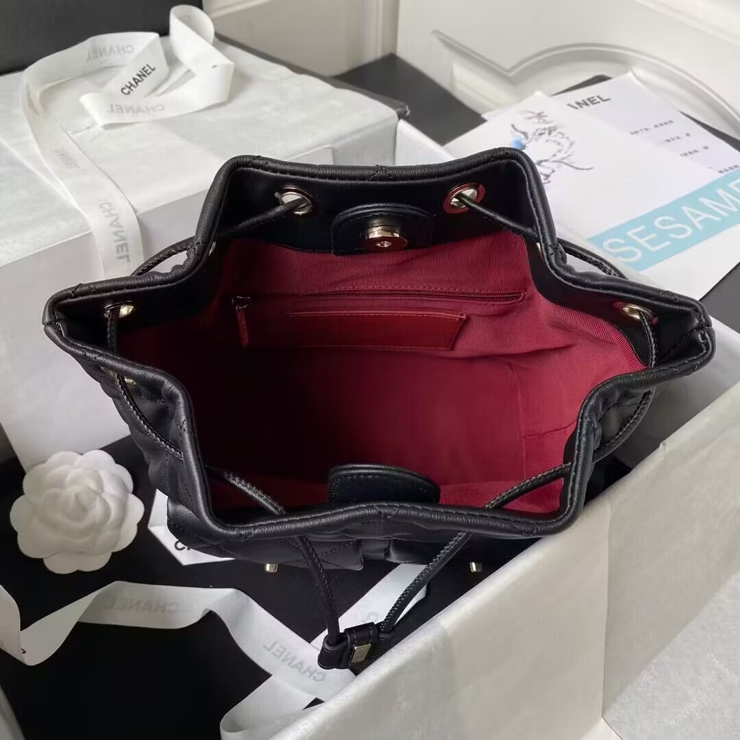 Chanel Backpack(AAAA)-003