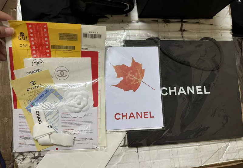 Chanel Handbags AAAA(Women)-117