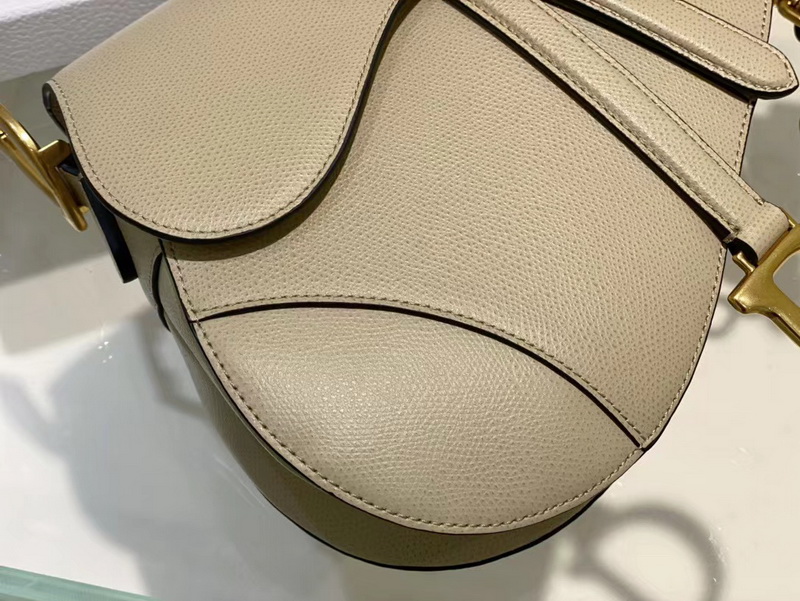 Dior Handbags AAAA(Women)-118