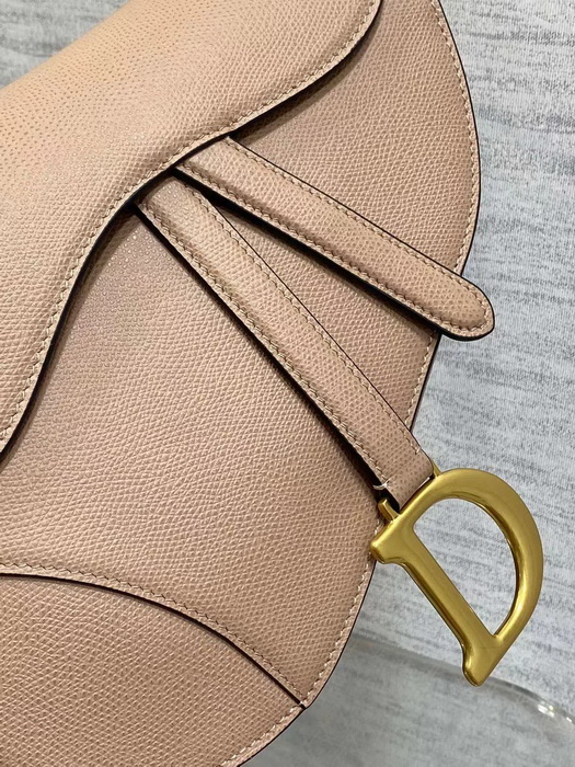Dior Handbags AAAA(Women)-119