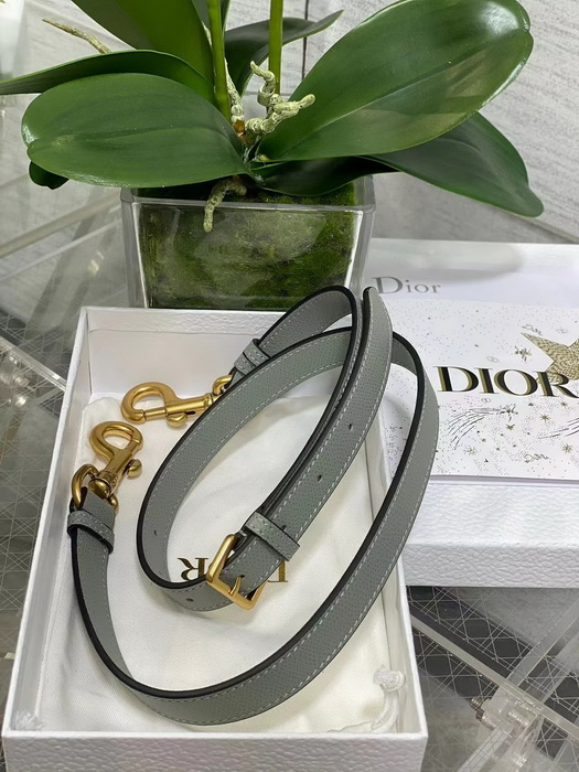Dior Handbags AAAA(Women)-120