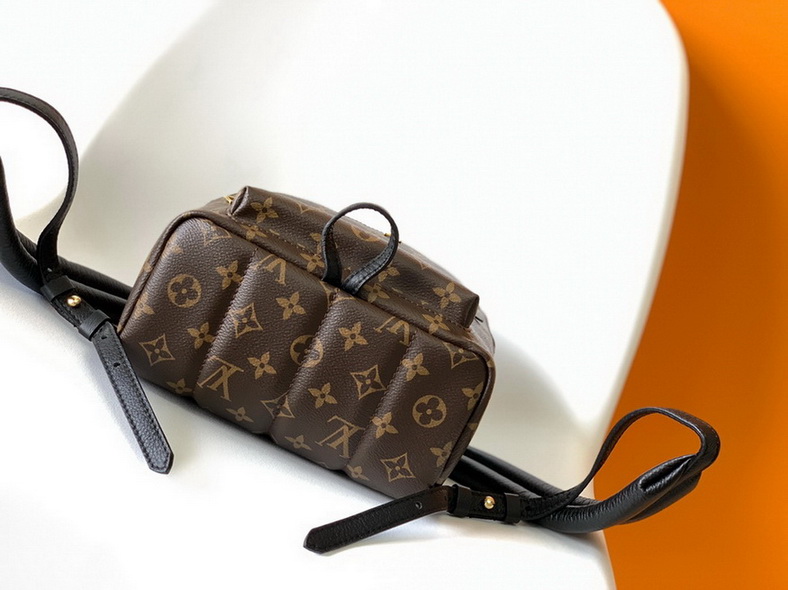 LV Backpack(AAA)-144