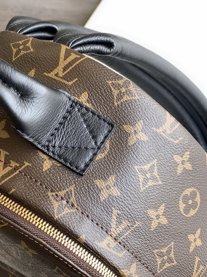 LV Backpack(AAA)-145