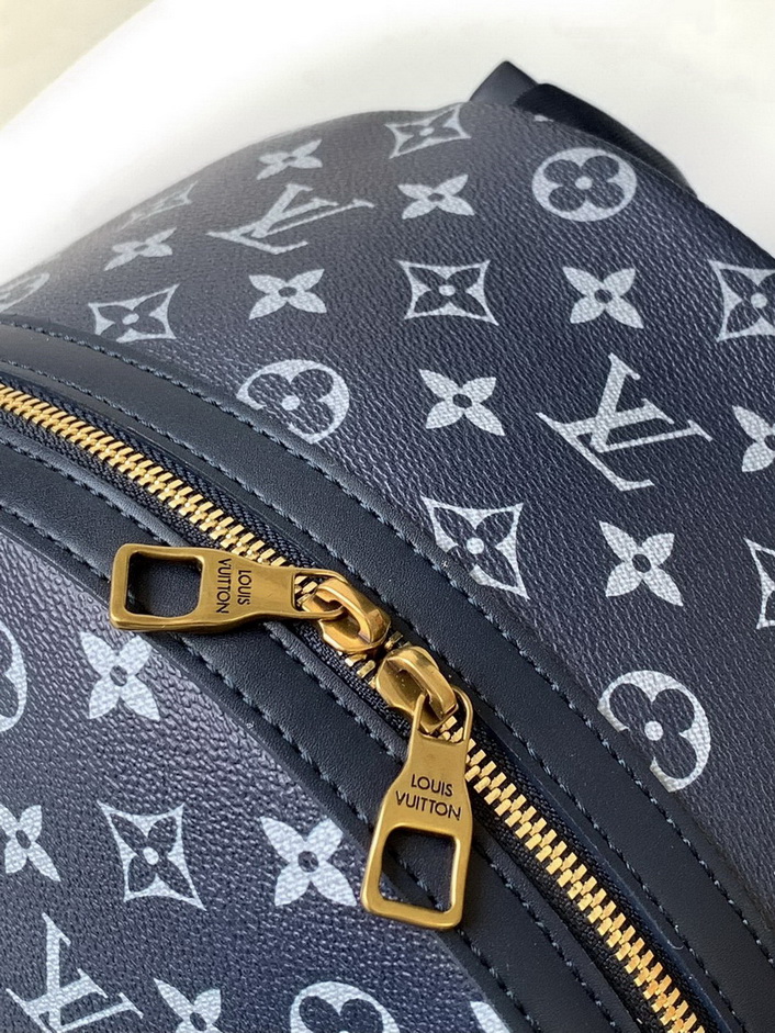 LV Backpack(AAA)-163
