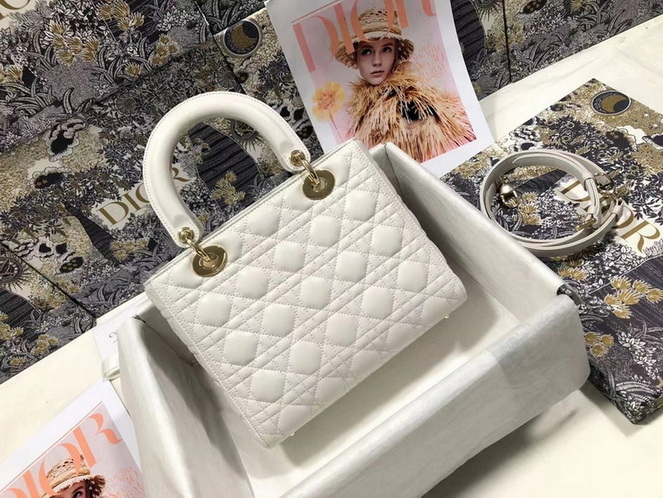Dior Handbags AAA(Women)-229