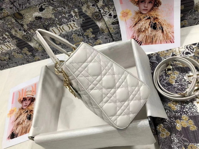 Dior Handbags AAA(Women)-229