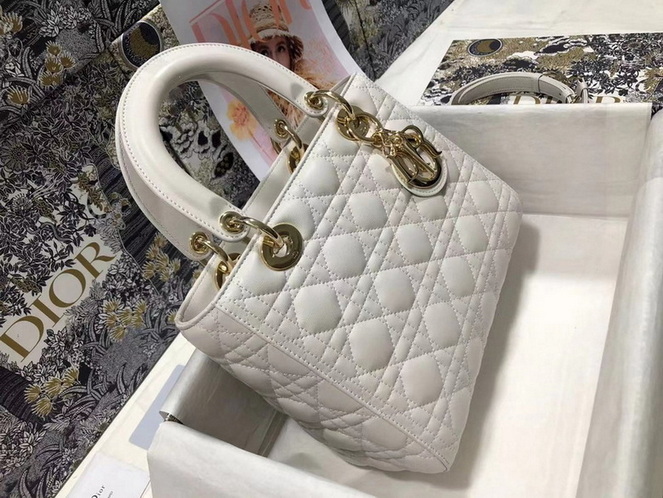 Dior Handbags AAA(Women)-229