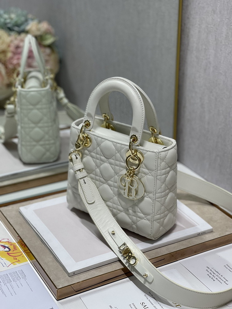 Dior Handbags AAA(Women)-238