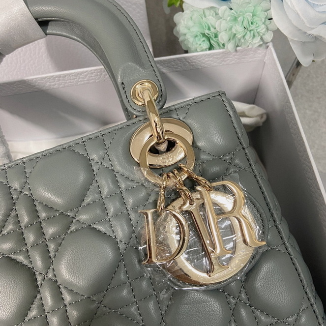 Dior Handbags AAA(Women)-135