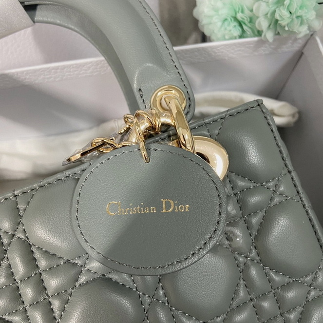 Dior Handbags AAA(Women)-135