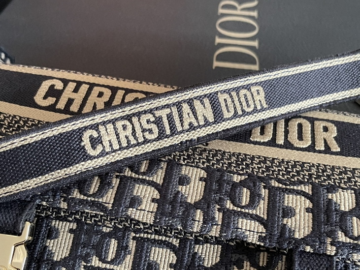 Dior Handbags AAA(Women)-248