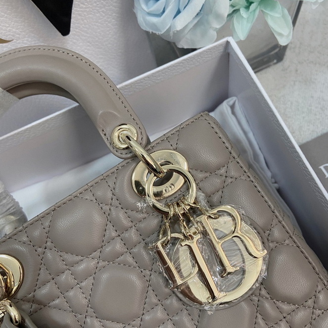 Dior Handbags AAA(Women)-136