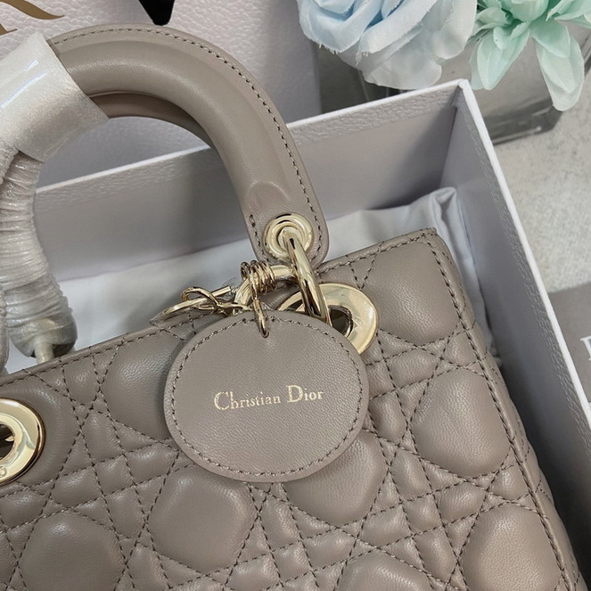 Dior Handbags AAA(Women)-136