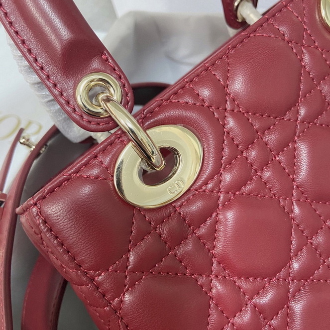 Dior Handbags AAA(Women)-137