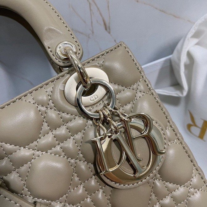Dior Handbags AAA(Women)-276