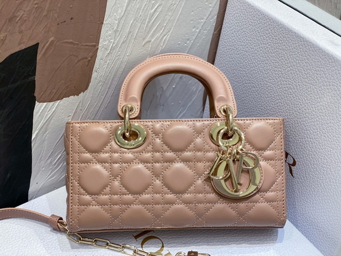 Dior Handbags AAA(Women)-304