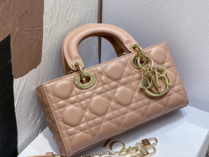 Dior Handbags AAA(Women)-304