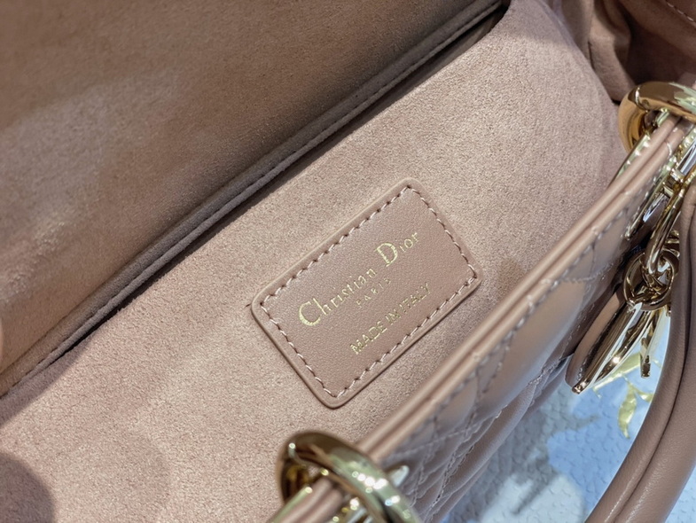 Dior Handbags AAA(Women)-305