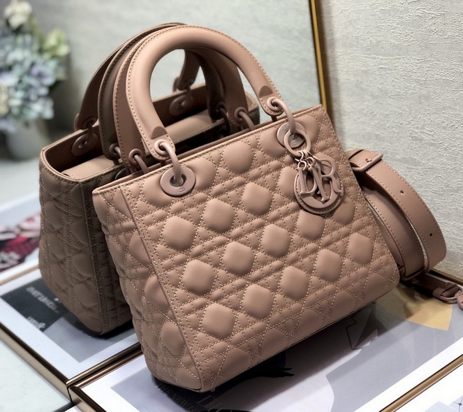 Dior Handbags AAA(Women)-309