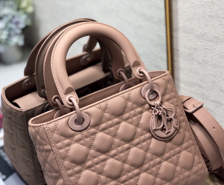 Dior Handbags AAA(Women)-309